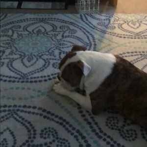 Meet your Posher, Stacie